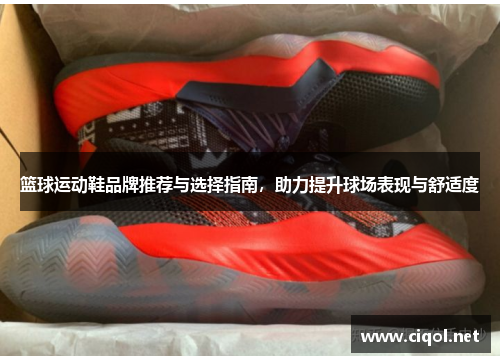 篮球运动鞋品牌推荐与选择指南，助力提升球场表现与舒适度