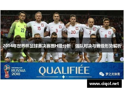 2014年世界杯足球赛决赛圈H组分析：强队对决与晋级形势解析