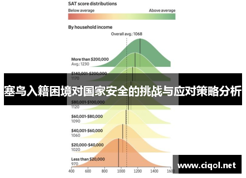 塞鸟入籍困境对国家安全的挑战与应对策略分析