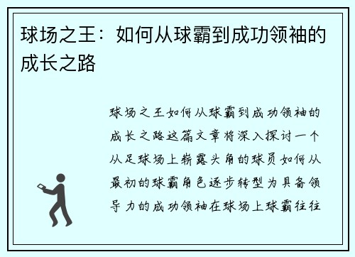 球场之王：如何从球霸到成功领袖的成长之路