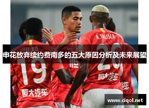 申花放弃续约费南多的五大原因分析及未来展望