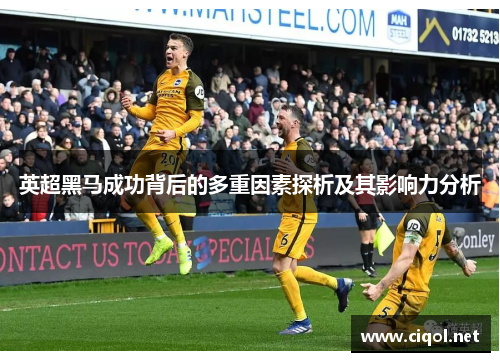 英超黑马成功背后的多重因素探析及其影响力分析
